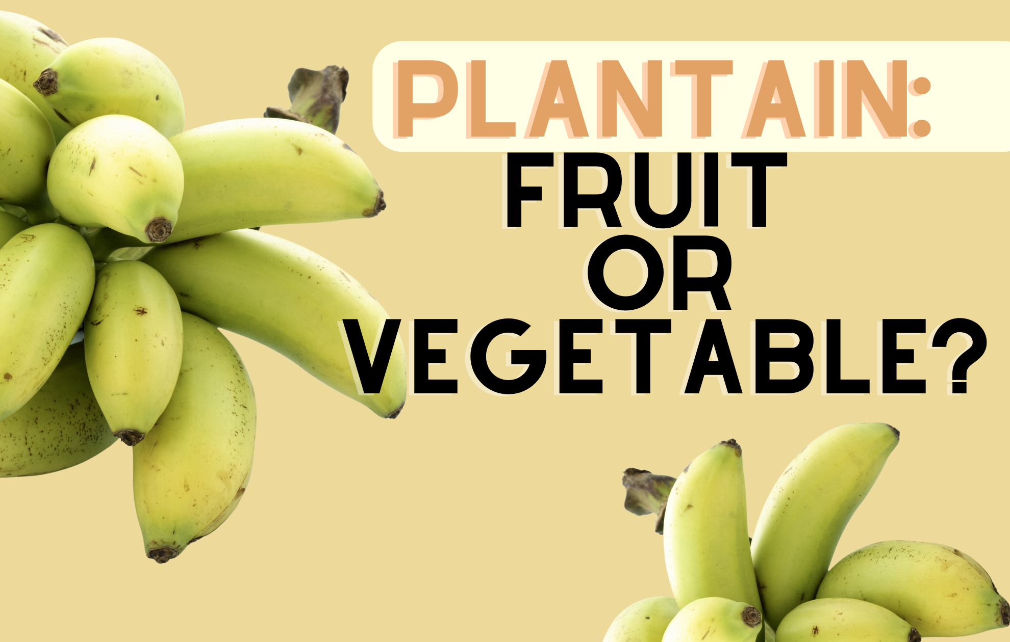 is-the-plantain-a-fruit-or-vegetable